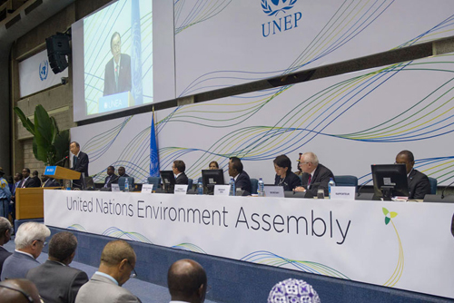 第二届联合国环境大会正式开幕
