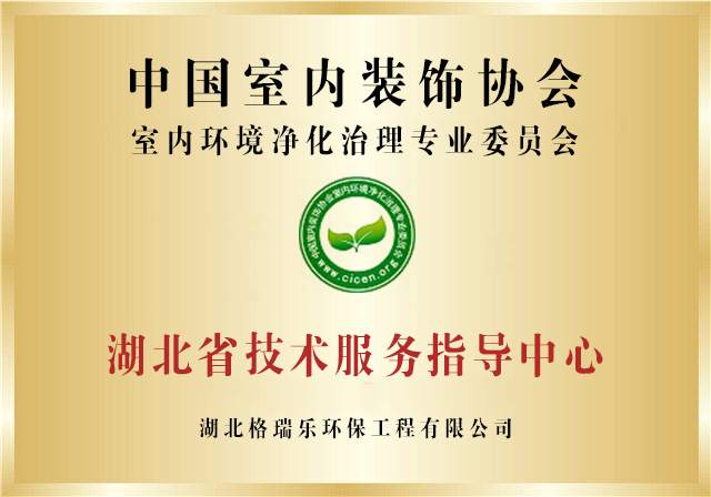 中国净化委湖北技术服务指导