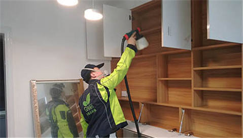 新房除甲醛,武汉除甲醛,绿植,家具