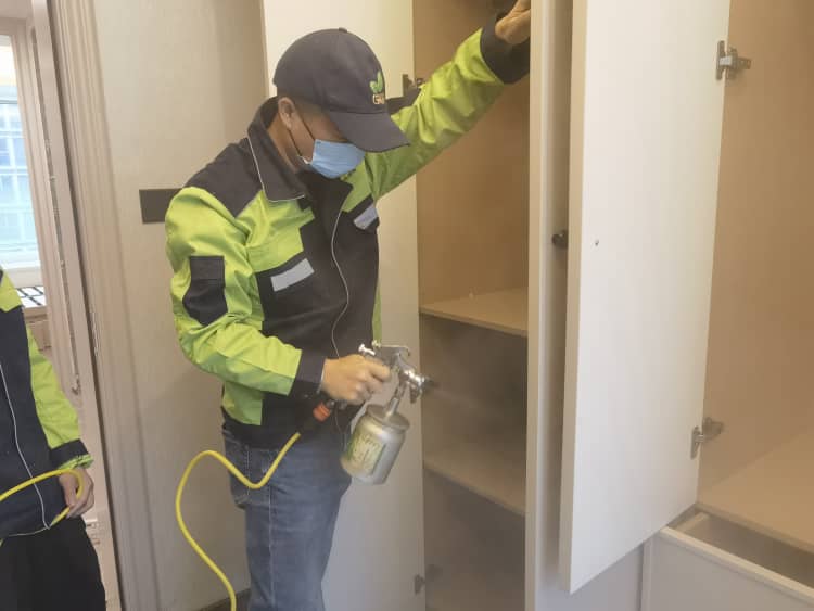 洪山除甲醛，格瑞乐超牛！