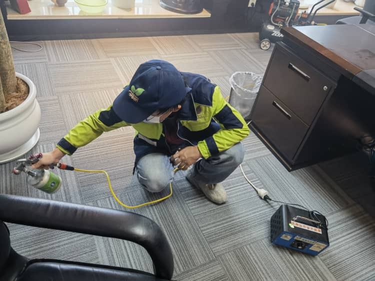 武汉车主避坑！3个汽车除甲醛误区，好多人都中招